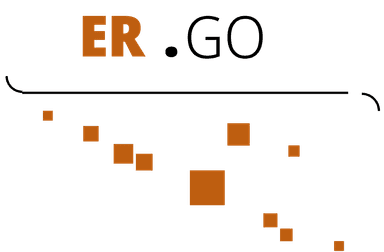 ergo-it